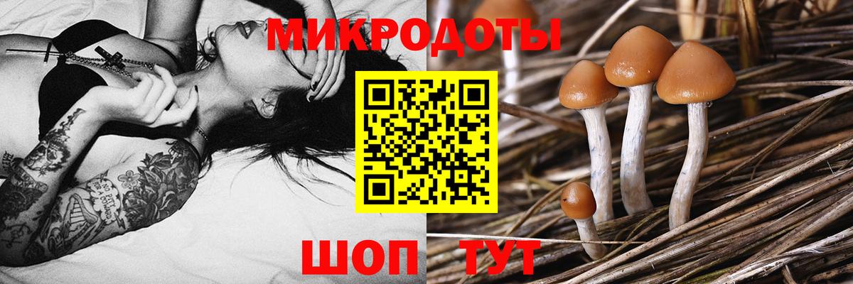 Галлюциногенные грибы прущие грибы  Псилоцибиновые грибы прущие грибы  Малоярославец  Вход с VPN 